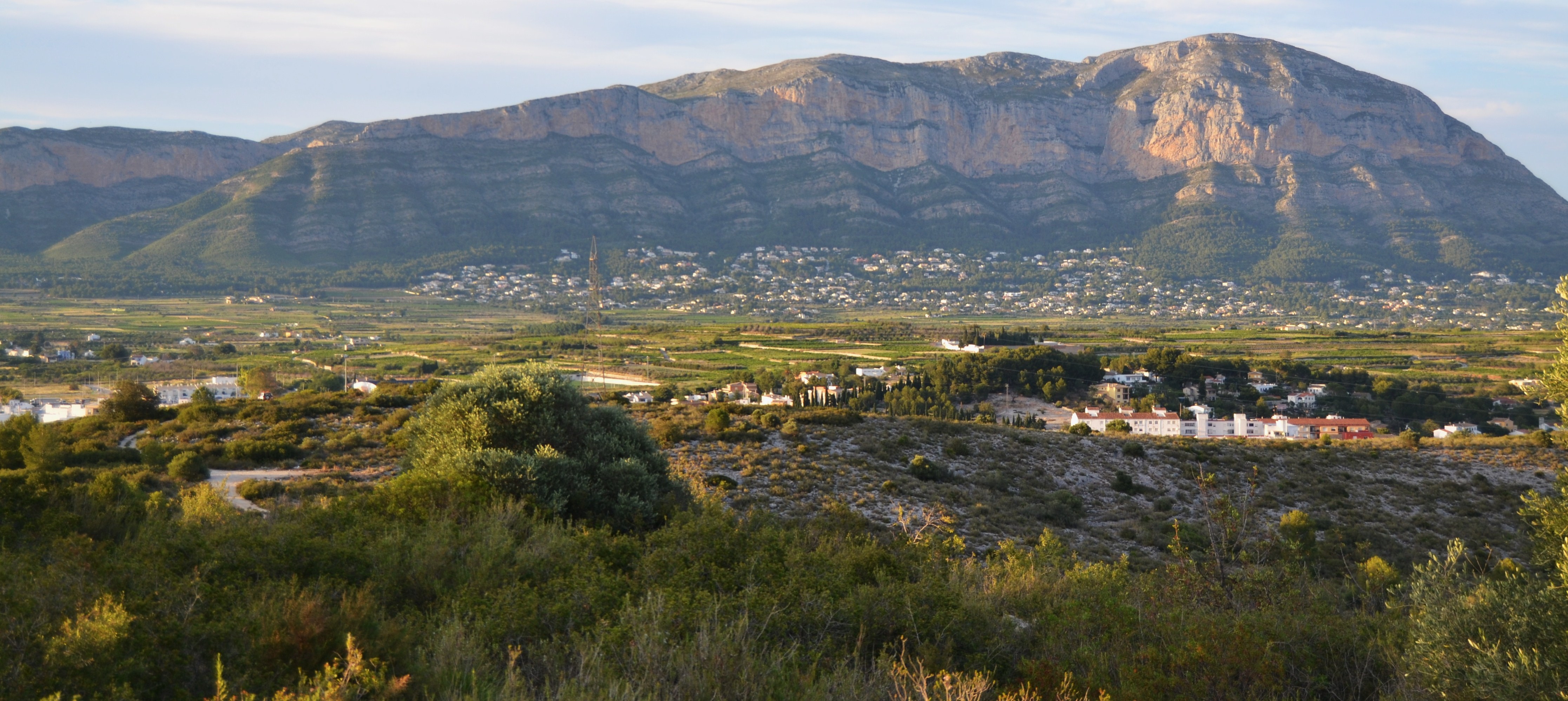 Cronista de Gata de Gorgos