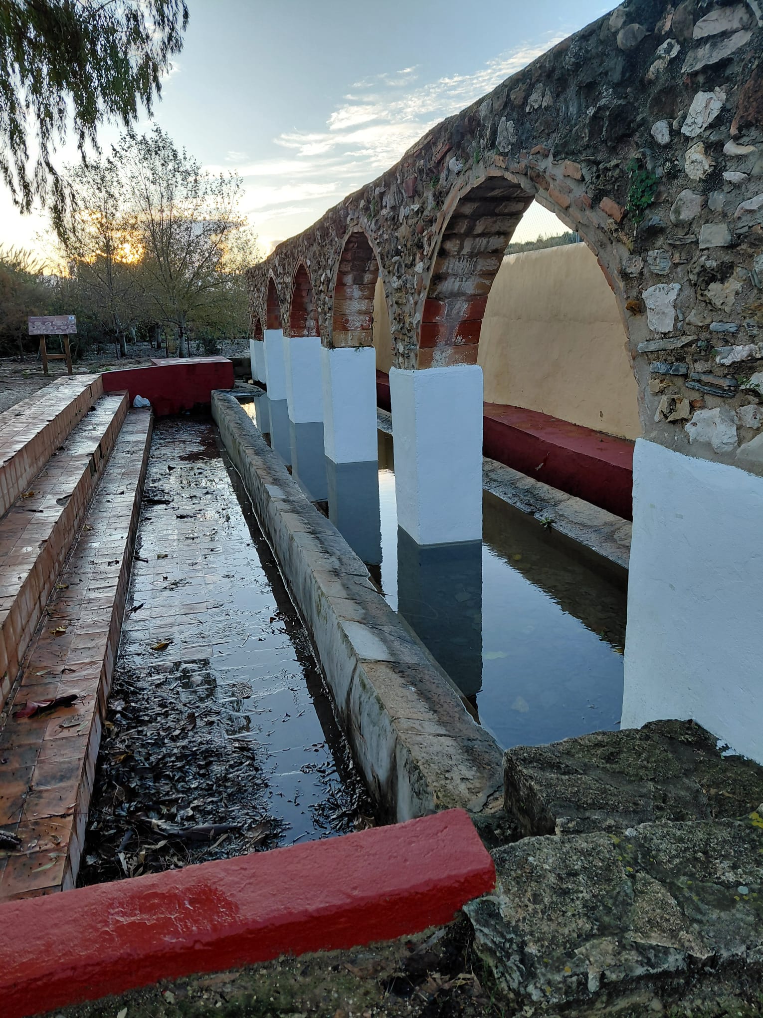 GATA RECULL 76,8 LITRES AMB ELS TRES DIES DE PLUJA. El dia de Nadal de 1926 va fer una gran nevada
