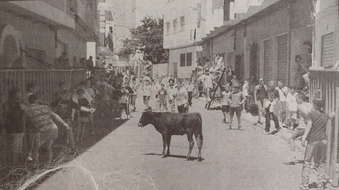 FOTOGRAFIES ANTIGUES...I D'ABANS (Gata en el record). Nº 1.912. Últim any de "bous al carrer" a la Font del Riu, 1998