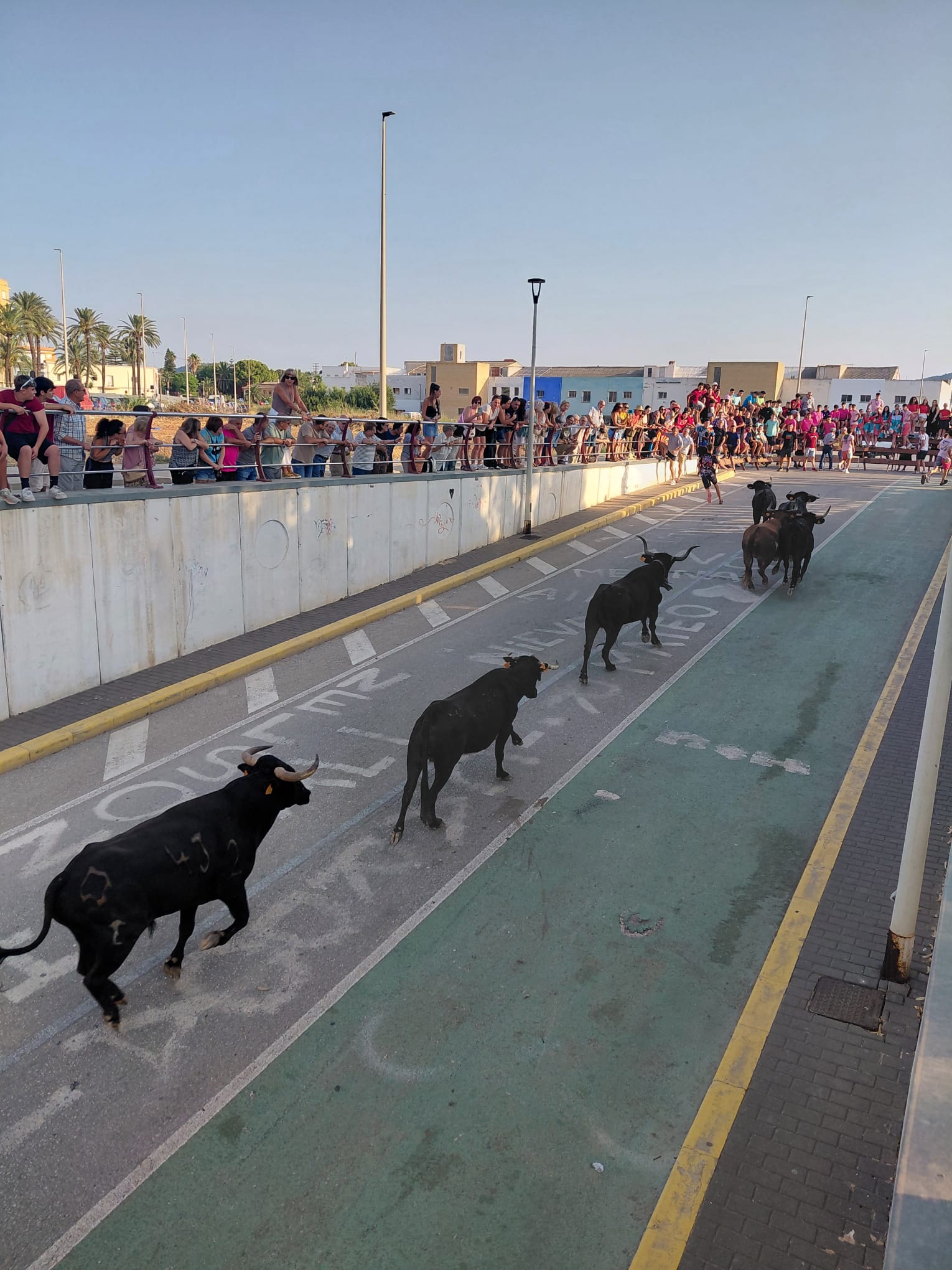 TERCER DIA DE FESTES DE GATA. ENTRÀ MATINAL, INAUGURACIONS DEL CORRO I LES BARRAQUES