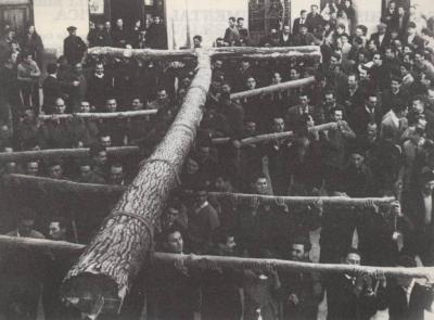 FOTOGRAFIES DEL RECORD (Gata en el record) -17,la foto d´ahir-