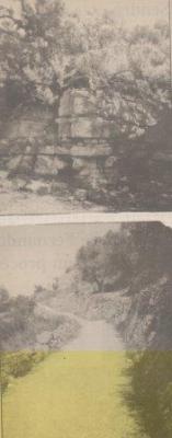 GATA VA SER NOTÍCIAun 2 de juny