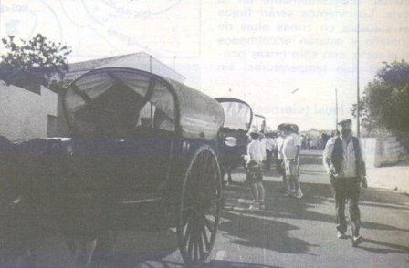 GATA VA SER NOTÍCIAun 15 de juny