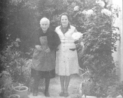 GATA VA SER NOTÍCIAun 3 de juliol