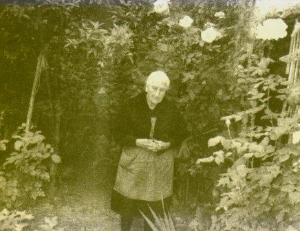 GATA VA SER NOTÍCIAun 11 de juliol