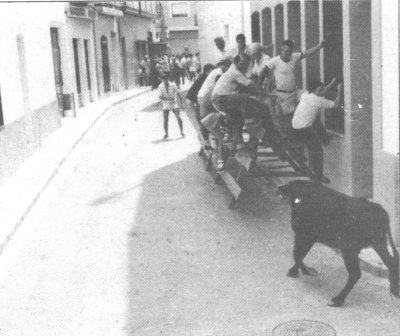 GATA VA SER NOTÍCIAun 30 de juliol ( I )