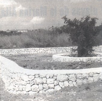 GATA VA SER NOTÍCIAun 20 d´agost (tal dia com ahir)