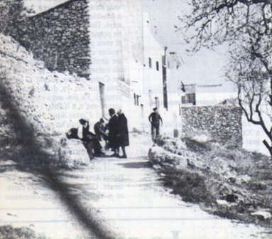 FOTOGRAFIES ANTIGUES (Gata en el record) -194-