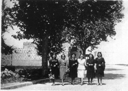 FOTOGRAFIES ANTIGUES (Gata en el record) - 197 -