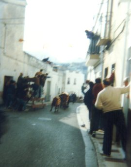 FOTOGRAFIES ANTIGUES (Gata en el record) - 231 -