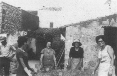 FOTOGRAFIES ANTIGUES (Gata en el record) -248-