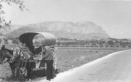 FOTOGRAFIES ANTIGUES (Gata en el record) -288-