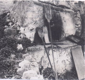 FOTOGRAFIES ANTIGUES (Gata en el record) -291-