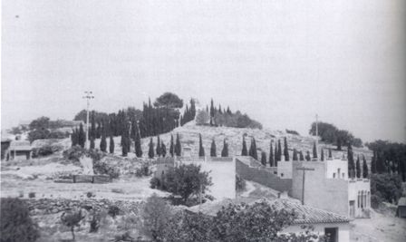 FOTOGRAFIES ANTIGUES (Gata en el record) -293-