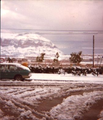 FOTOGRAFIES ANTIGUES (Gata en el record) -297-