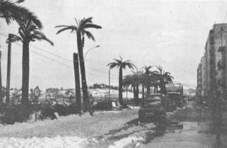 FOTOGRAFIES ANTIGUES (Gata en el record) -305-