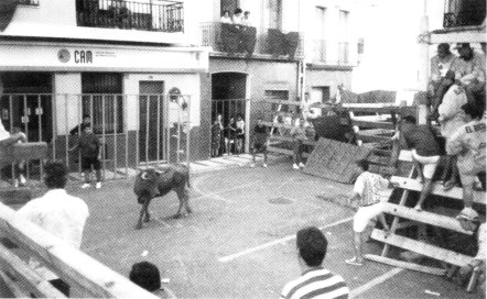 FOTOGRAFIES ANTIGUES (Gata en el record) - 307 -