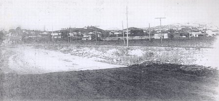 FOTOGRAFIES ANTIGUES (Gata en el record) -315-