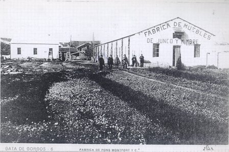 FOTOGRAFIES ANTIGUES (Gata en el record) -342-