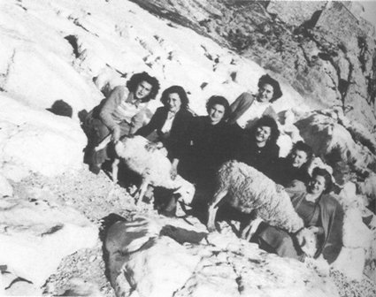 FOTOGRAFIES ANTIGUES (Gata en el record) -367, ja al 2n any-