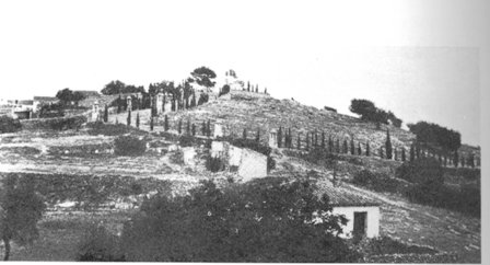 FOTOGRAFIES ANTIGUES: Gata en el record -370-