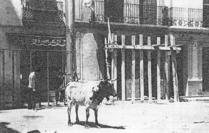 FOTOGRAFIES ANTIGUES (Gata en el record) -385, la de hui-