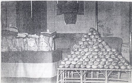 FOTOGRAFIES ANTIGUES (Gata en el record) -416, la d'ahir dissabte dia 4-