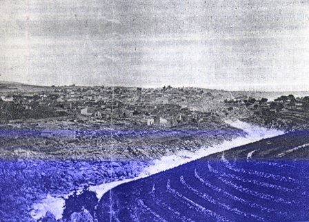 FOTOGRAFIES ANTIGUES (Gata en el record) -423-