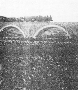 FOTOGRAFIES ANTIGUES (Gata en el record) -427-