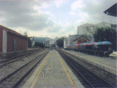 FOTOGRAFIES ANTIGUES (Gata en el record) -434, la d'ahir dimecres 22-