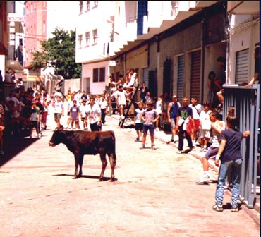 FOTOGRAFIES ANTIGUES (Gata en el record) -441, la del dimecres 29-
