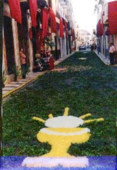 FOTOGRAFIES ANTIGUES (Gata en el record) -446-