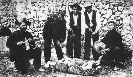 FOTOGRAFIES ANTIGUES (Gata en el record) -452-