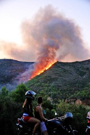 INCENDI AL TERME VEÍ DE LLÍBER, molt a prop del de Gata