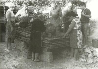 FOTOGRAFIES ANTIGUES (Gata en el record) -496-