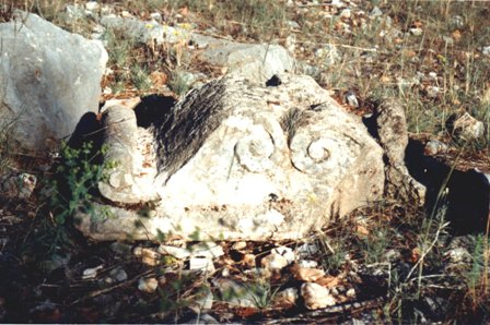 FOTOGRAFIES ANTIGUES (Gata en el record) -531, la del dia 27/9-