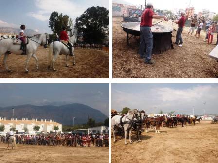 7ena TROBADA DEL CAVALL ( i II ) : Exhibició cavallística i doma