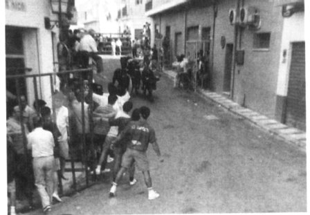 FOTOGRAFIES ANTIGUES (Gata en el record) -542-