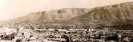 FOTOGRAFIES ANTIGUES (Gata en el record) -544-