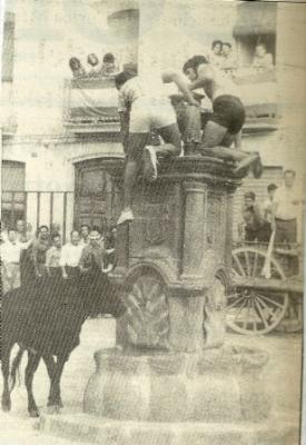 FOTOGRAFIES ANTIGUES (Gata en el record) -582-