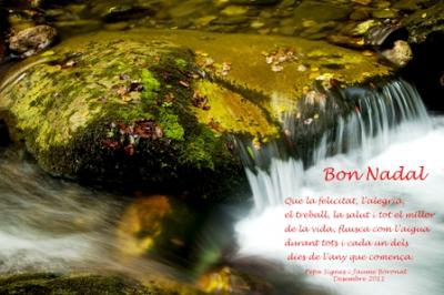 FELICITACIÓ NADALENCA: la de Pepa i Jaume