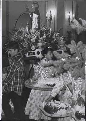 HUI ÉS SANT ANTONIPERÒ A GATA ES CELEBRA EL CAP DE SETMANA