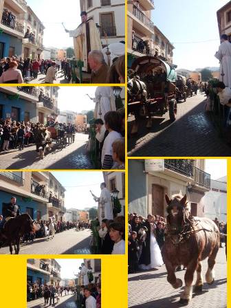 FESTA DE SANT ANTONI ( i II ): Bendició d'animals