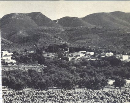 FOTOGRAFIES ANTIGUES (Gata en el record) -650, la de hui dia 23-