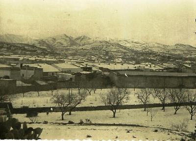 FOTOGRAFIES ANTIGUES (Gata en el record) -706-