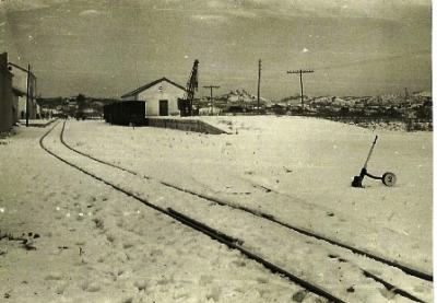 FOTOGRAFIES ANTIGUES (Gata en el record) - 707-, la d'ahir dimecres dia 21-