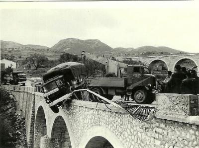 FOTOGRAFIES ANTIGUES (Gata en el record) -721-