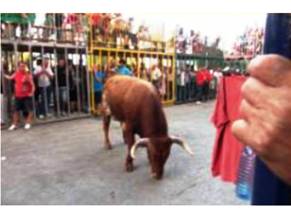 LA PREMSA PARLA DELS PROBLEMES DELS BOUS AL CARRER