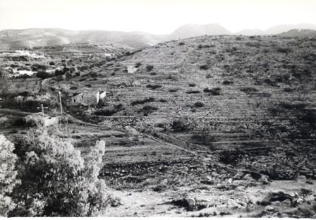 FOTOGRAFIES ANTIGUES (Gata en el record) -802-