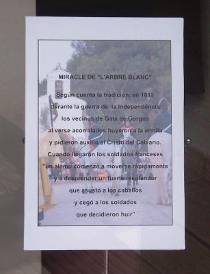 HISTÒRIA LOCAL: UN SEGLE DE L'ARBRE BLANC